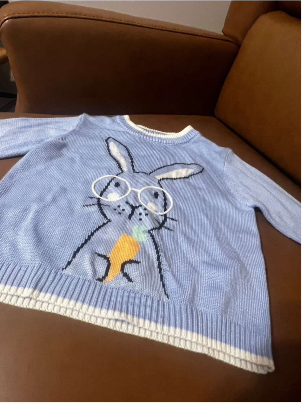 Girls Celebrate! Easter Bunny Sweater Blue White Size 2T